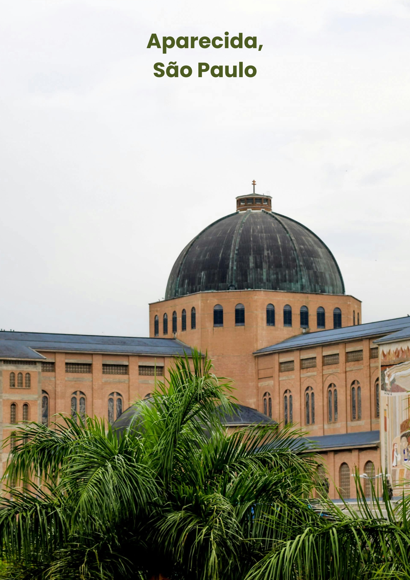 aparecida sp